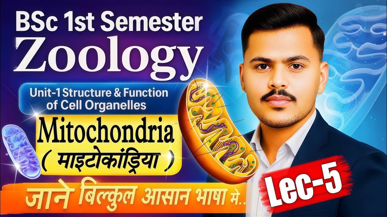 Zoology Bsc 1st Semester 2025| Mitochondria (माइटोकांड्रिया) In Hindi| Important Topics Unit-1 
