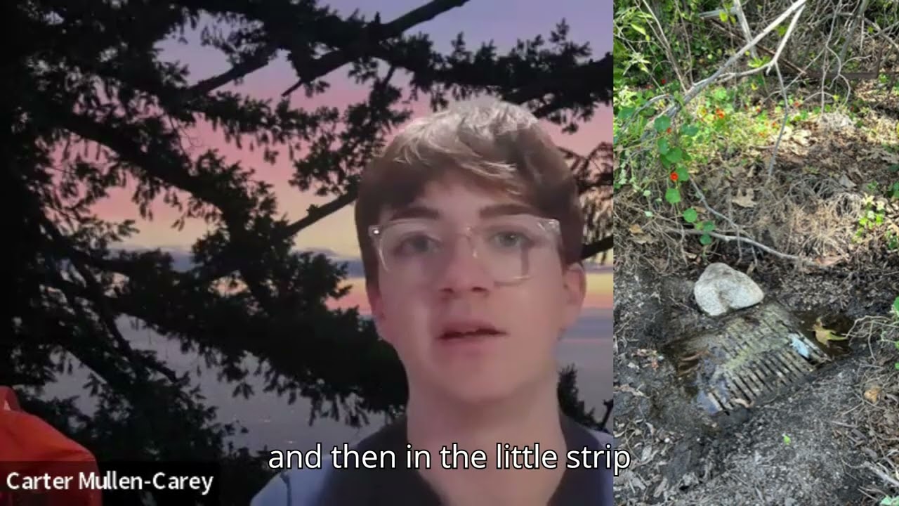 Why Put Our Streams in a Chokehold? - A Young South Pasadenan Speaks Out About the Arroyo Seco