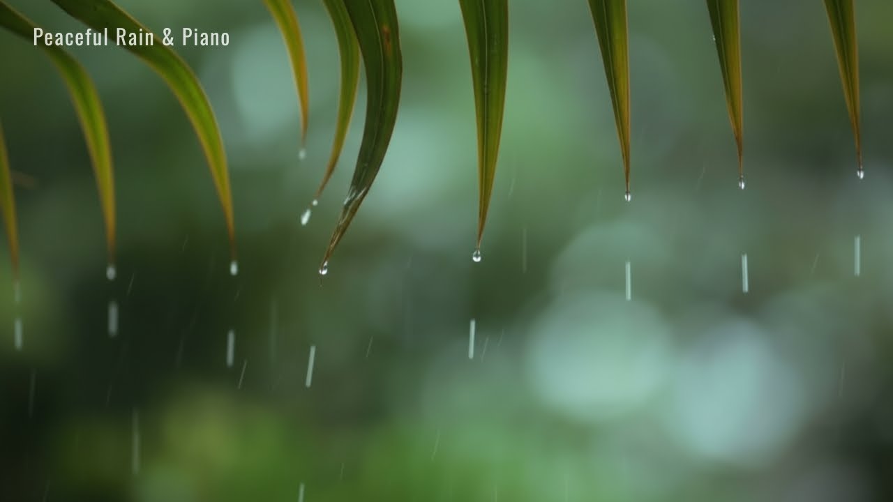 You & Me: Relaxing Piano Music & Soft Rain Sounds For Sleep, Relaxation, Meditation | Piano Rain
