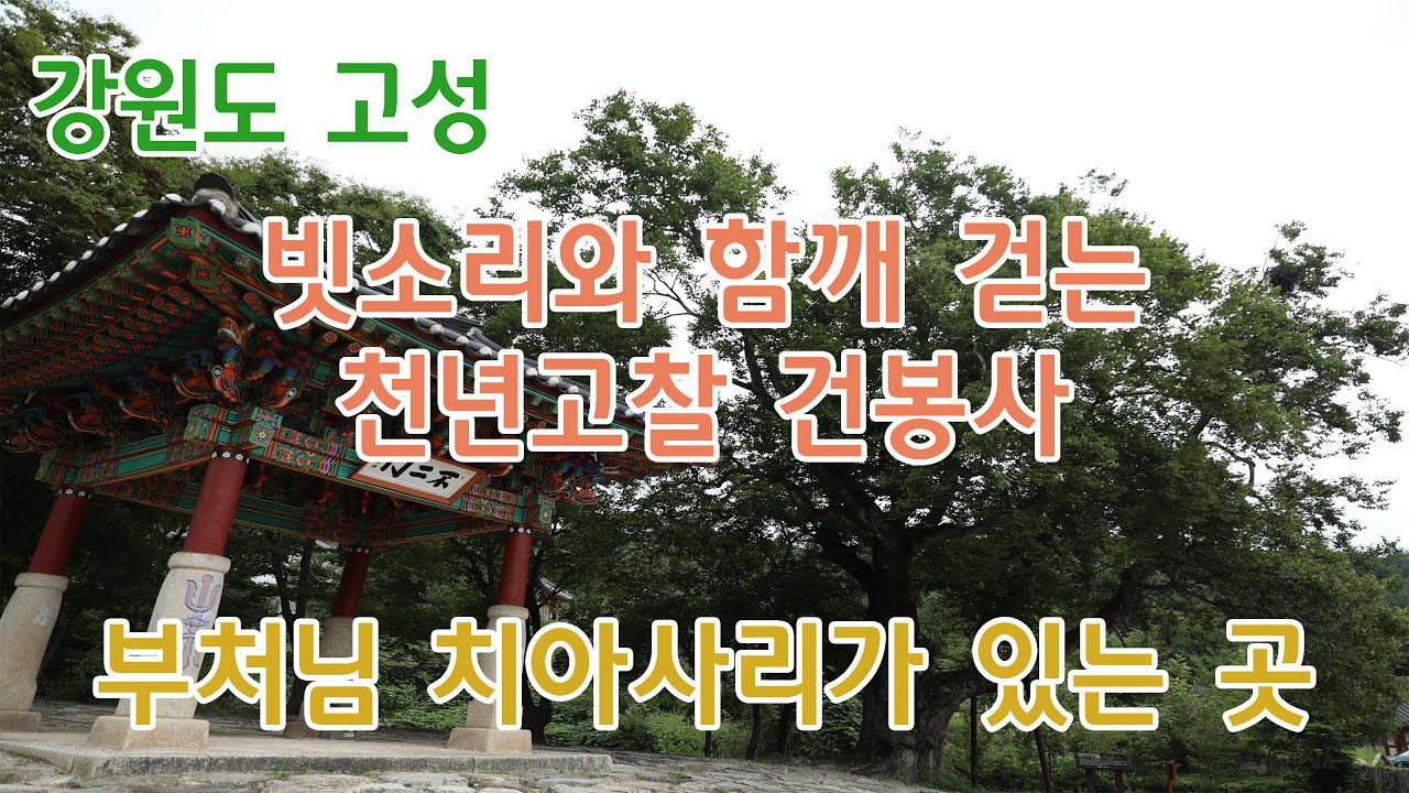빗소리와 함께 걸은 천년고찰 건봉사 | #부처님사리 #적멸보궁 #빗소리 #산사 #고찰 #절