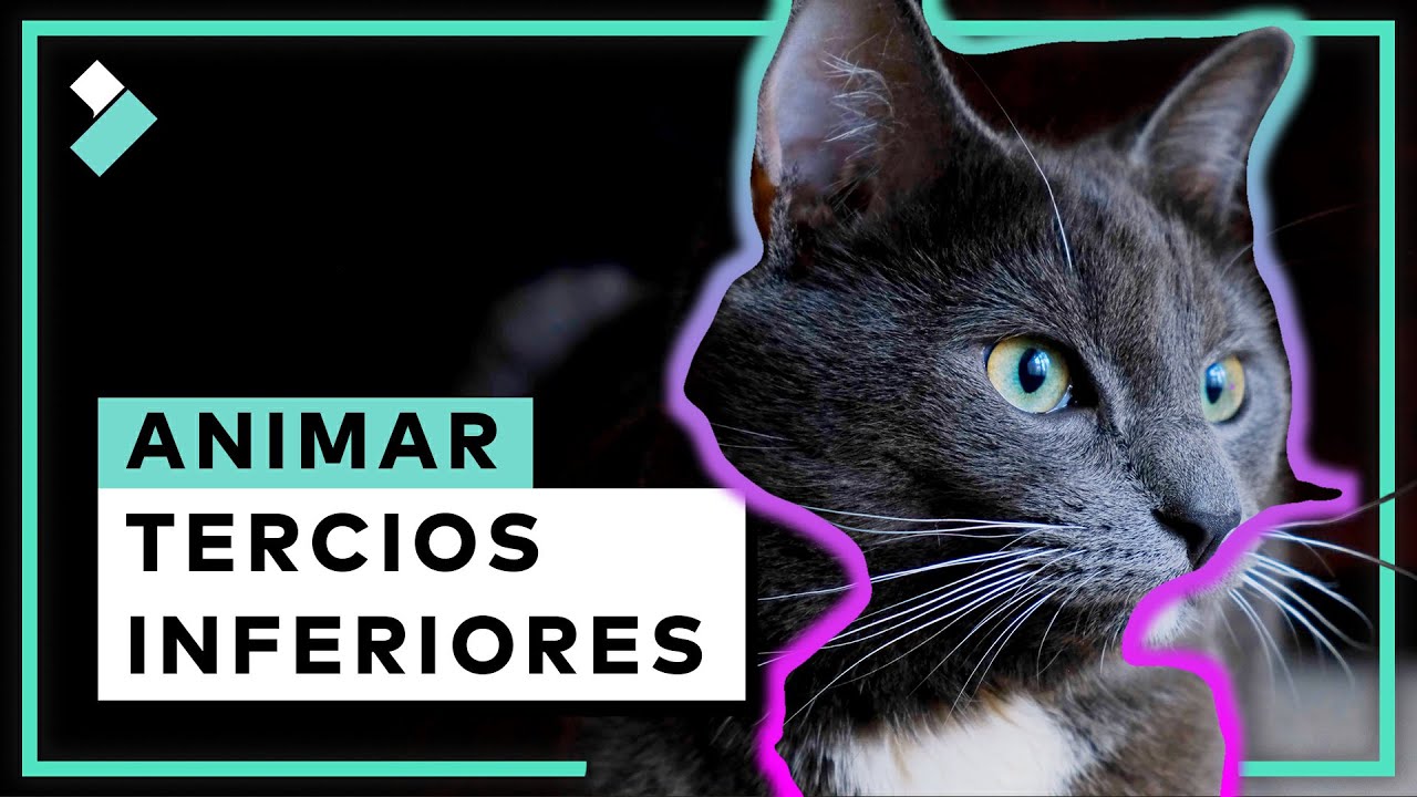 Cómo HACER TERCIOS INFERIORES ANIMADOS en Wondershare Filmora X (Texto en Movimiento, Lower Thirds)