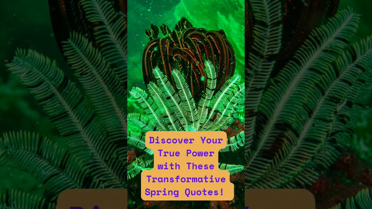Unleash Your Inner Power with These Life-Changing Spring Quotes! (2024)