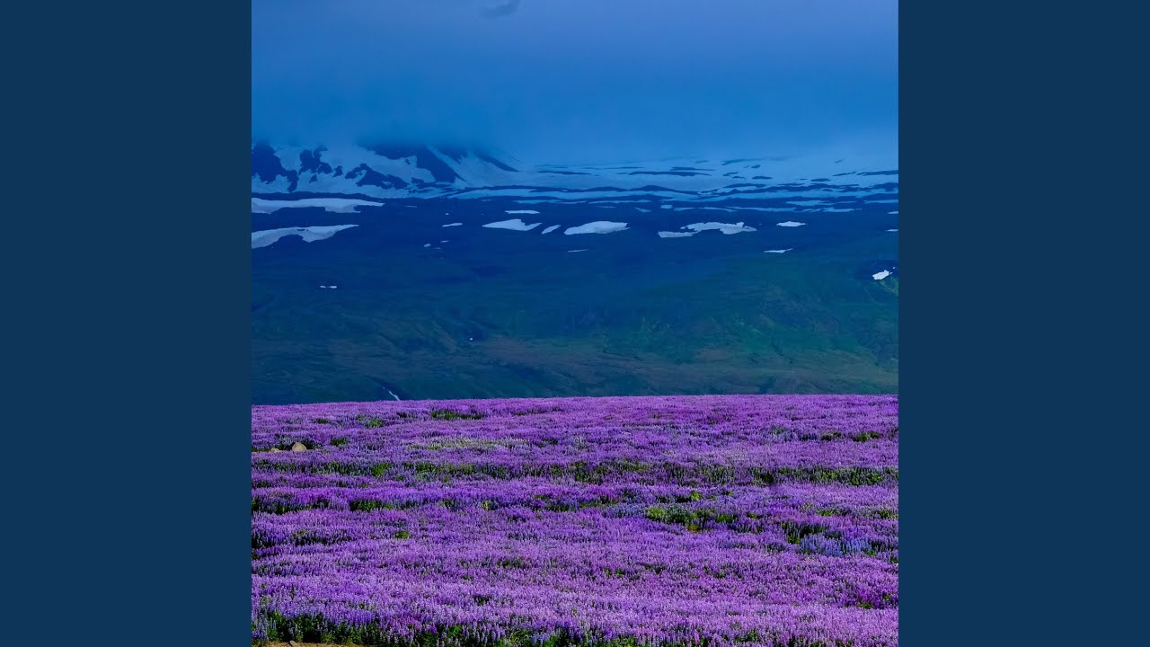 Dark Lavender