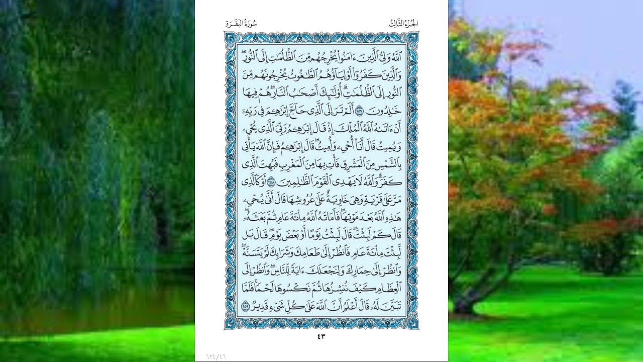 سورة البقرة صفحة ٤٣ للقارئ الشيخ عبد الباسط عبد الصمد الاية مكررة ٨ مرات