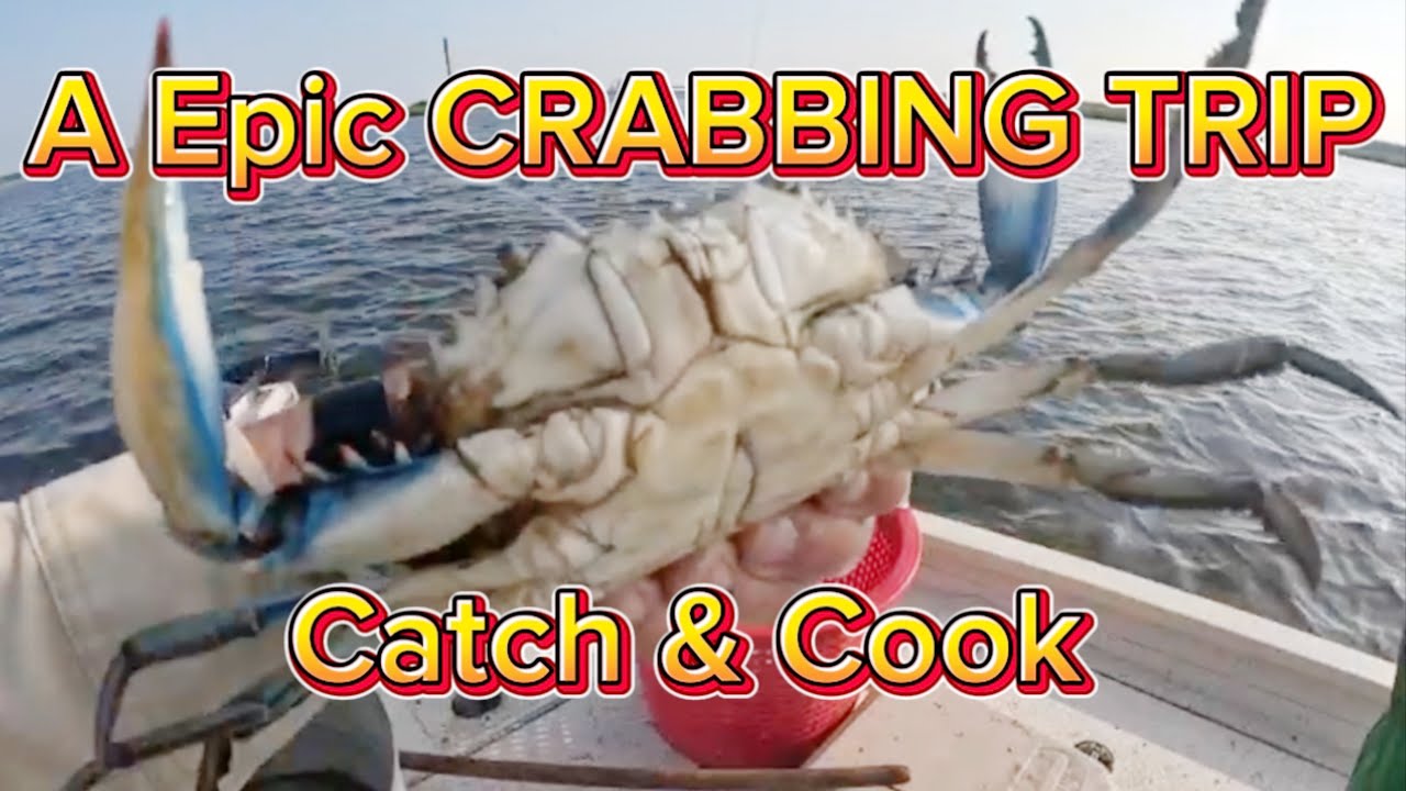 Crabbing In Louisiana Is Next Level Epic (Catch & Cook) Louisiana Blue Crabs