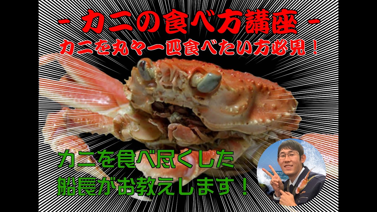 茹でガニの食べ方講座！丸々一匹食す！【鳥取県 岩美町】