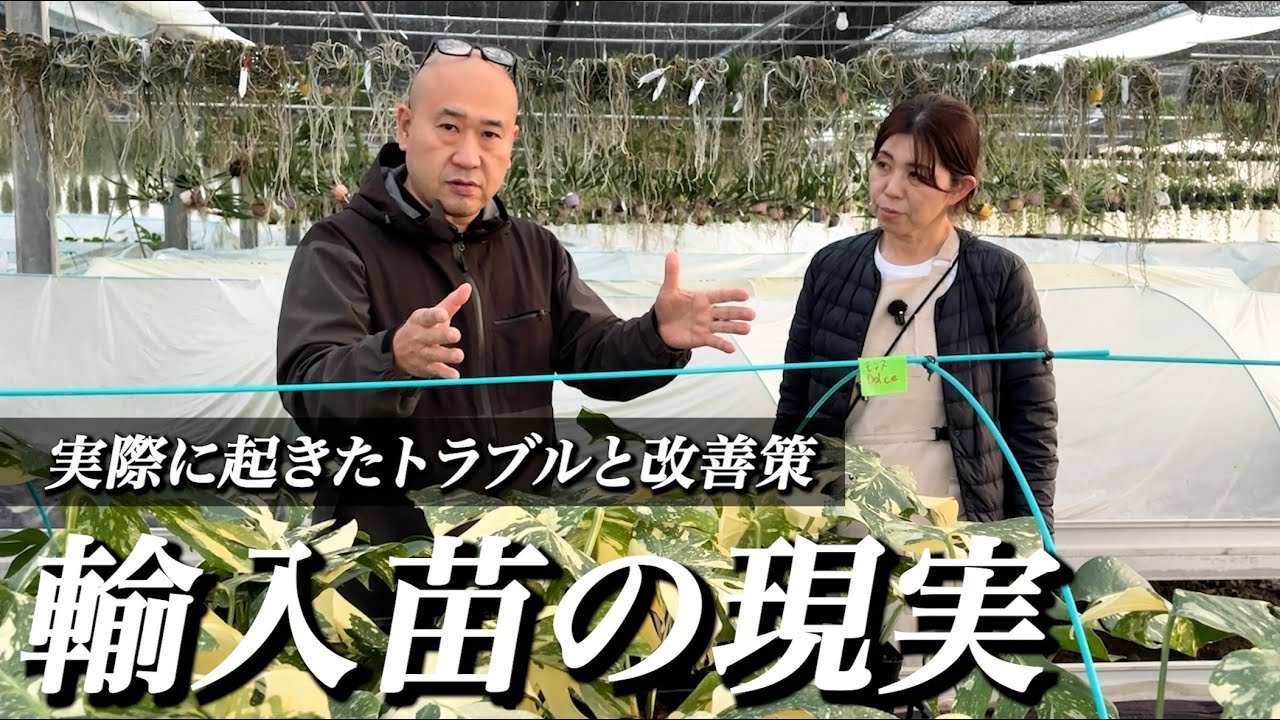EP#021【輸入苗の現実】~ 実際に起きたトラブルと改善策 ~【アマゾンへ行こ〜】