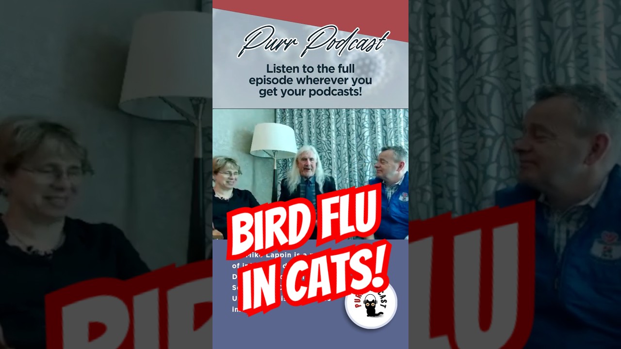 Bird Flu in Cats? H5N1 Avian Influenza Explained with Dr. Mike Lappin - Purr Podcast Episode 212