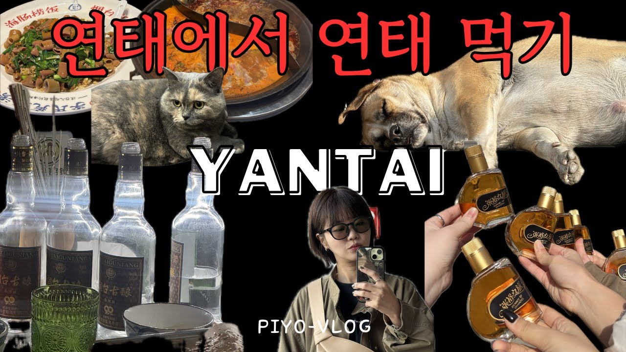 🇨🇳 연태에서 연태 먹기🔥｜가성비와 낭만 넘치는 2박 3일 중국 연태 여행 브이로그 (4K)