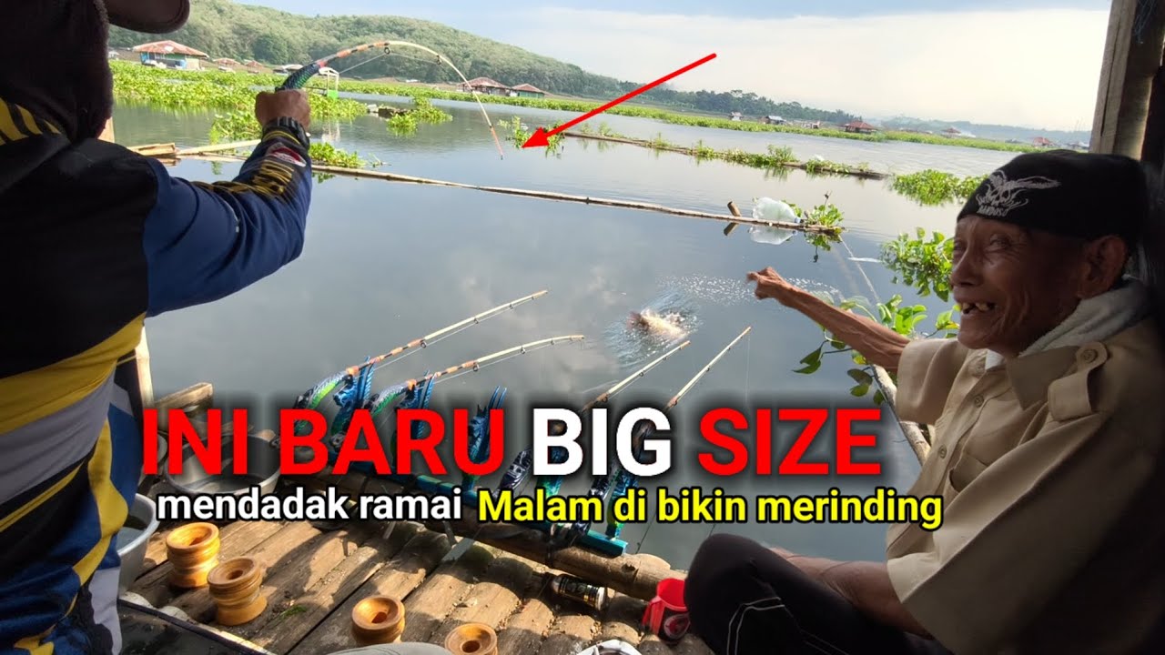 IKAN JALANGKUNG NYA NAIK😱! PEMANCING MANA YANG GAK TERKECOH DENGAN SPOT SEPERTI INI ||mancing mania 