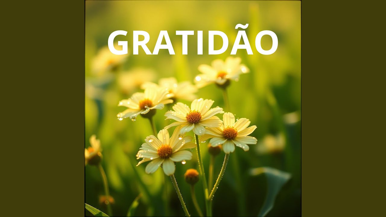 Gratid&atilde;o