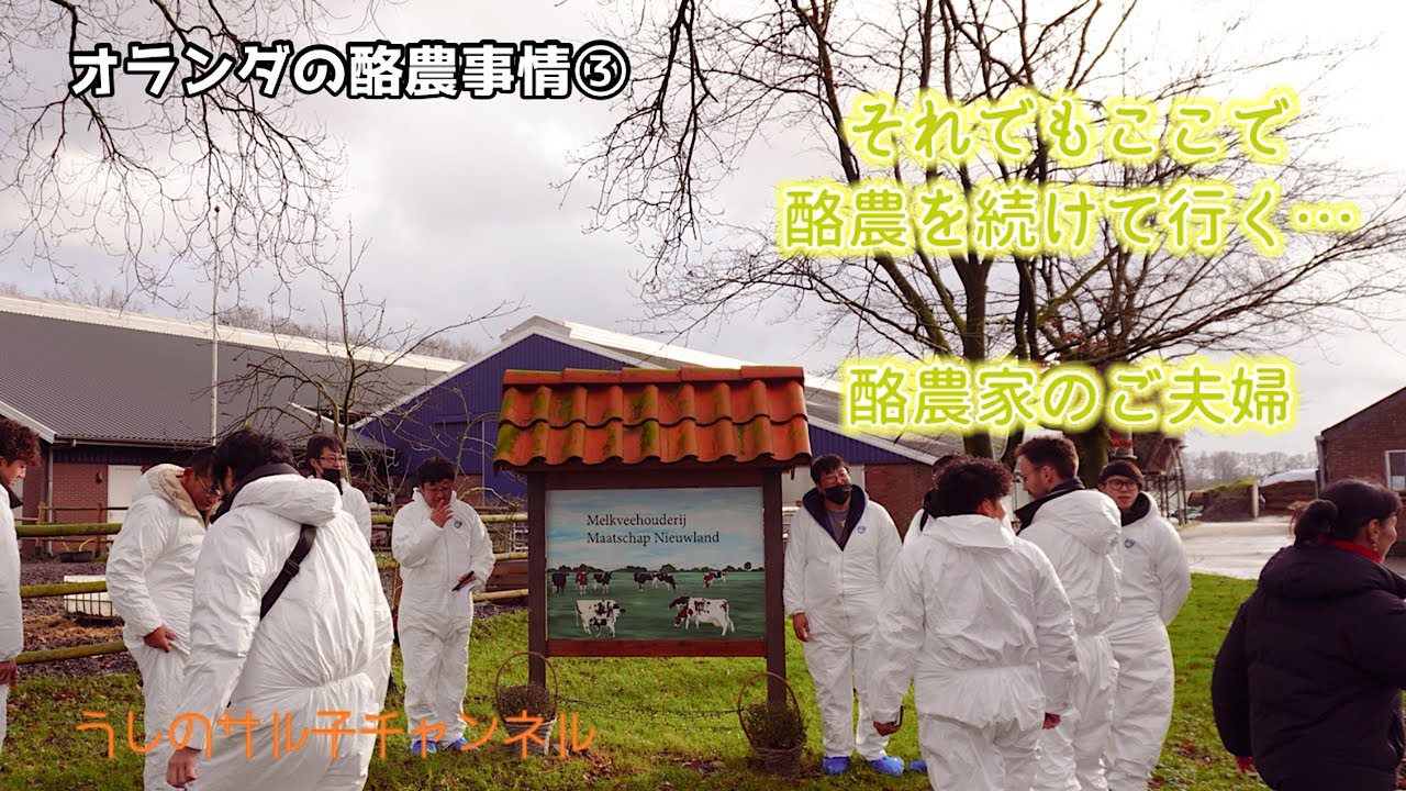 オランダの酪農事情③       〜 国の政策に翻弄される酪農家たち/工夫で乗り切る酪農家たち　　#北海道 #厚岸 #牛 #酪農 #農業政策 #オランダ　