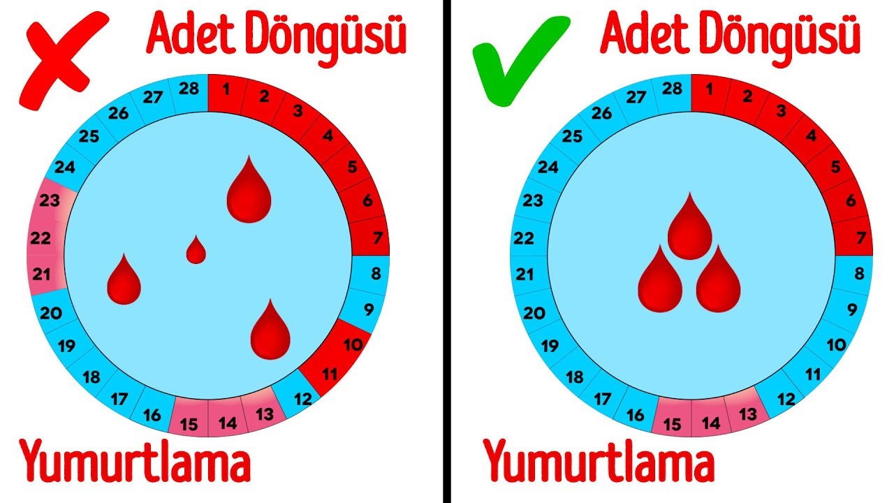 Jinekoloğunuza Sormaya Çekindiğiniz Adetle İlgili 14 Soru
