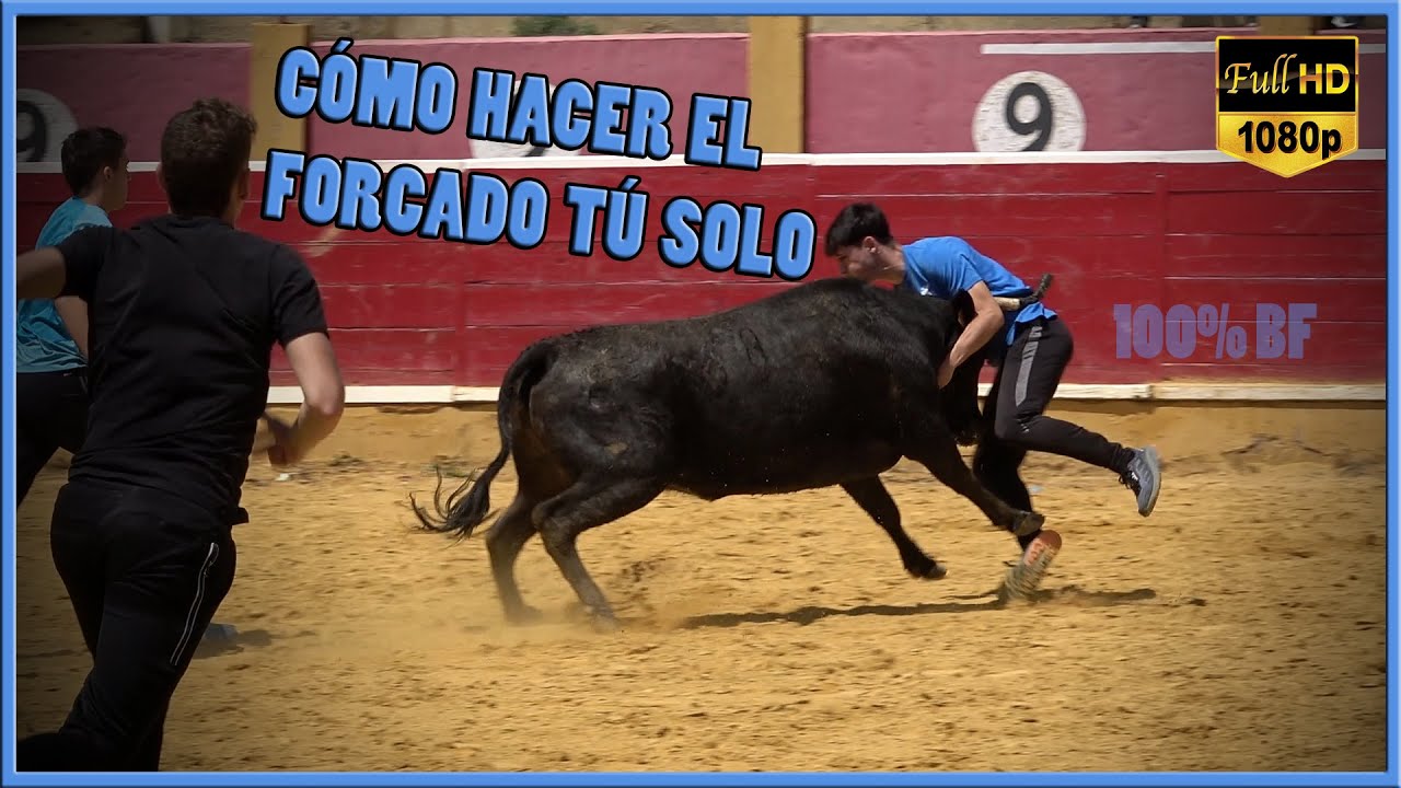 CÓMO HACER EL FORCADO TÚ SOLO. Tienta privada 100% BF (18-5-24)