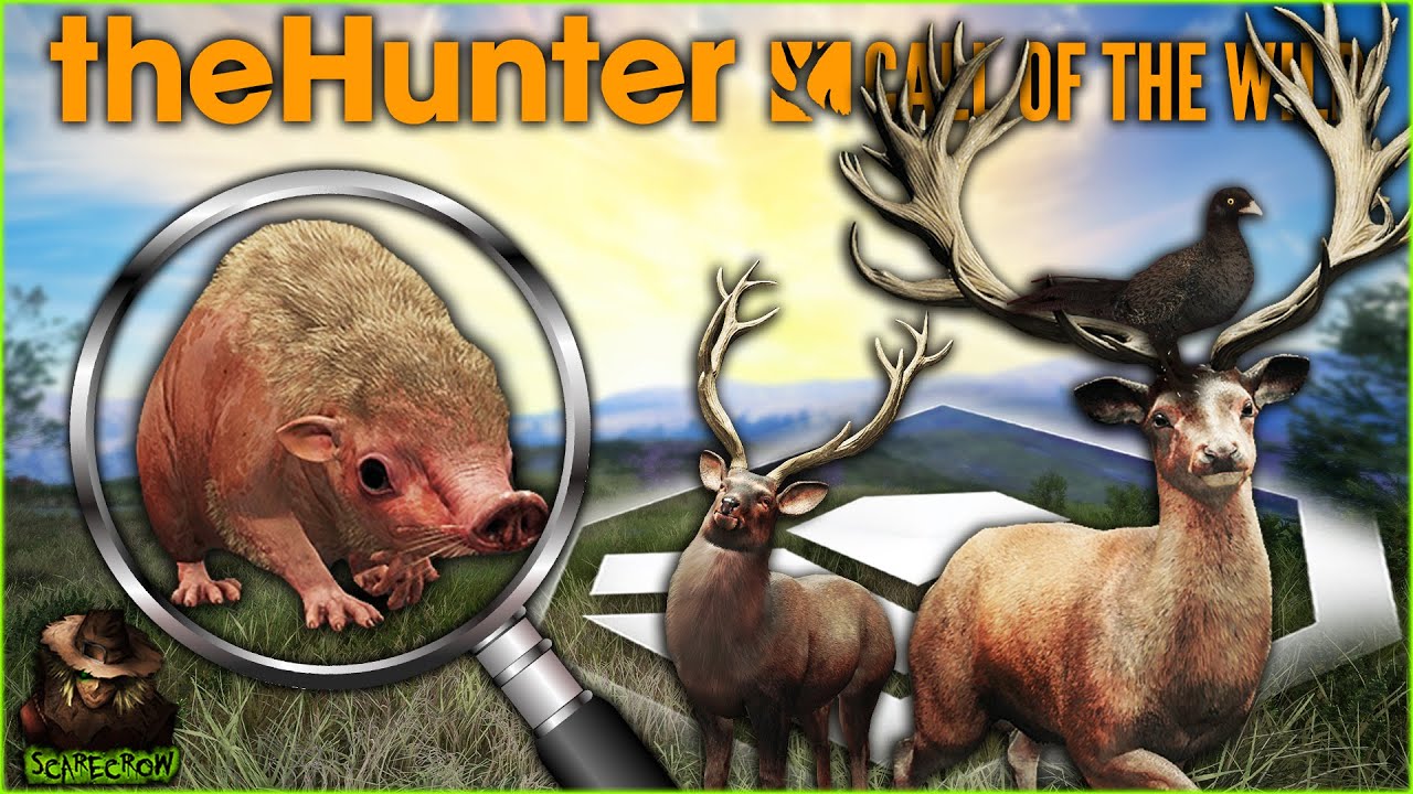 Hunting The Wild Haggis Got Me RARE TROPHY After RARE TROPHY! Call of the wild