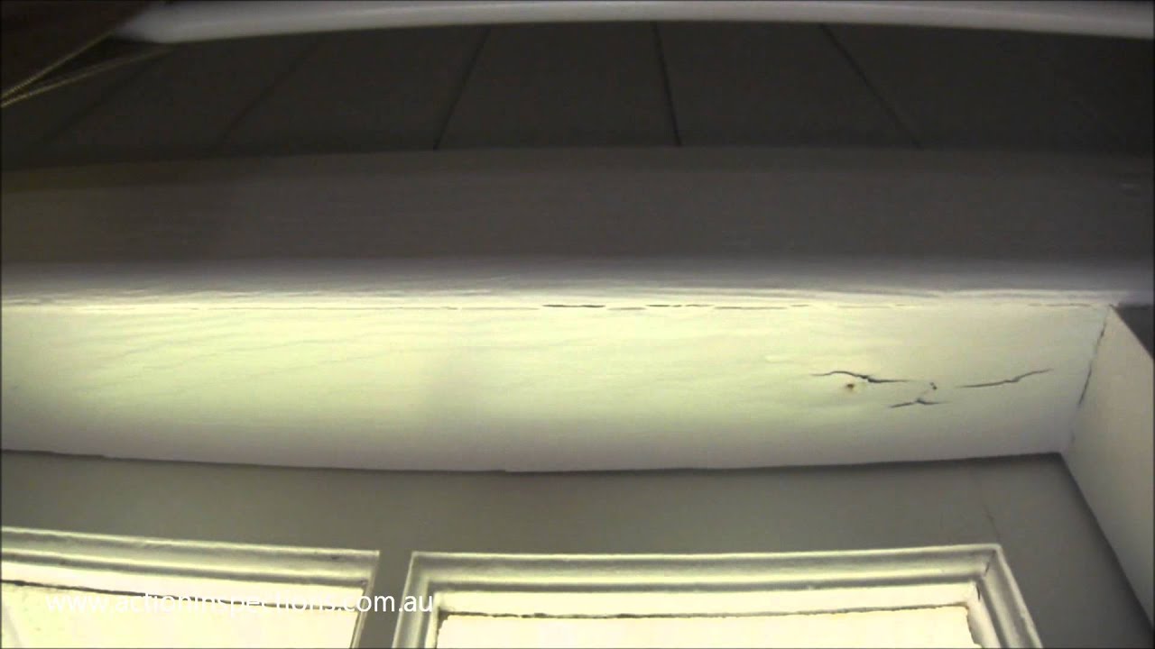 The Sound of Termites - Building Inspections Brisbane