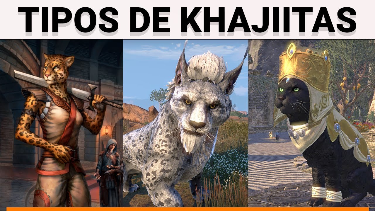 17 TIPOS DE KHAJIITAS | The Elder Scrolls