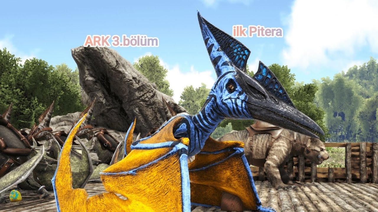 Ark 3.bölüm (ilk Pitera) 
