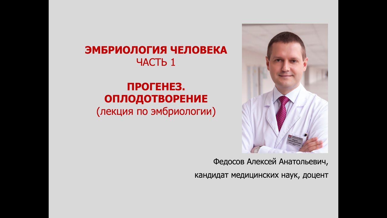 ЭМБРИОЛОГИЯ ЧЕЛОВЕКА. Ч. 1. ПРОГЕНЕЗ. ОПЛОДОТВОРЕНИЕ (лекция)