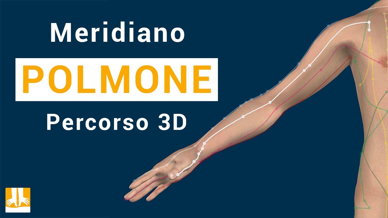 Meridiano del Polmone - Percorso in 3D punto per punto