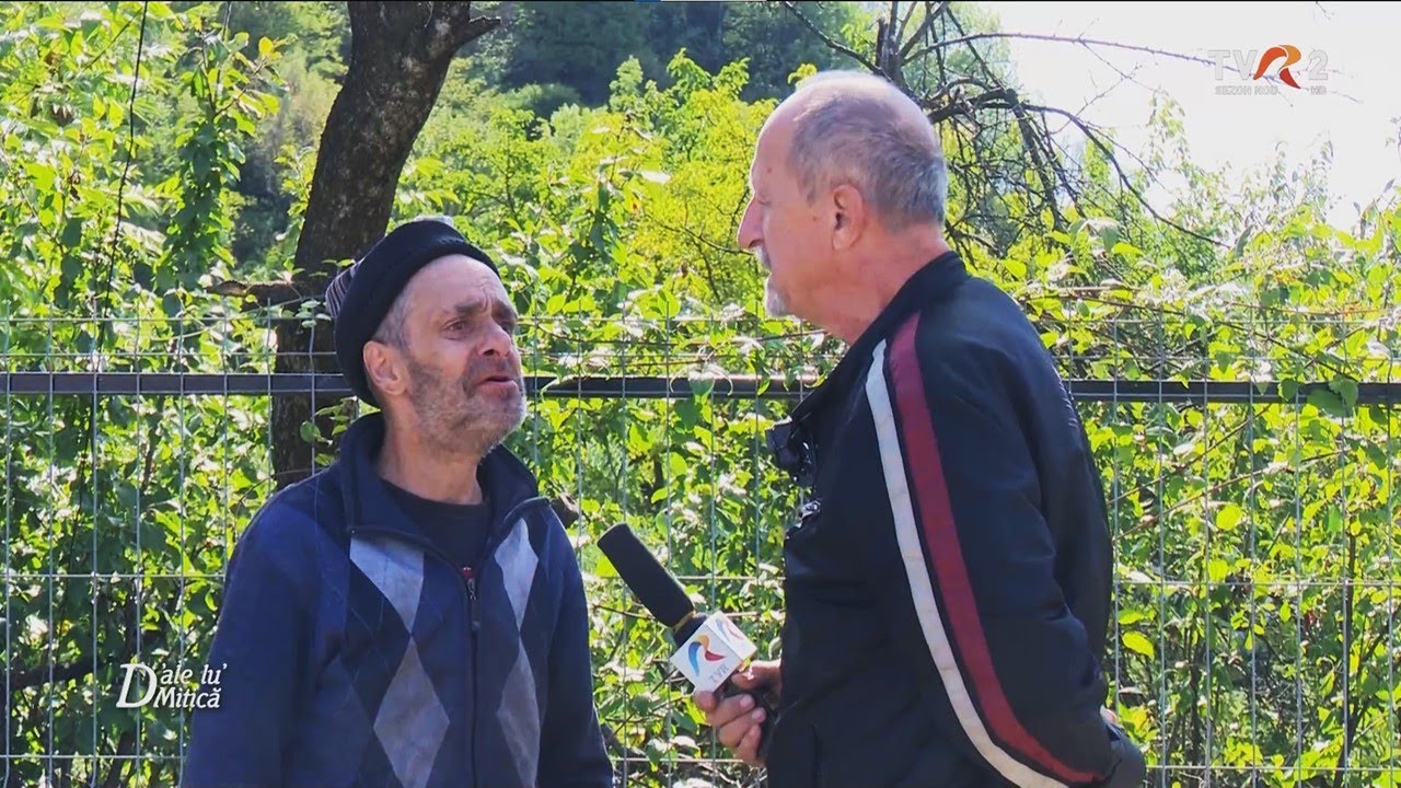 Răvășitul oilor