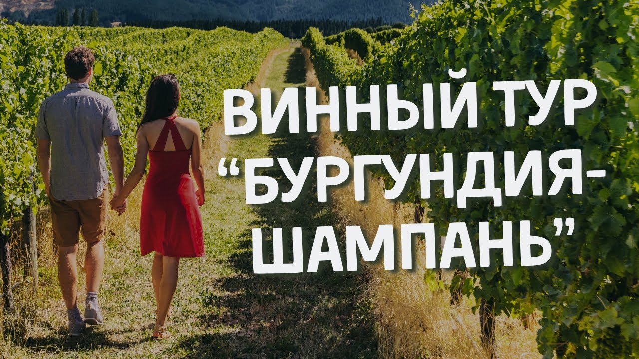 [ВИННЫЙ ТУР БУРГУНДИЯ-ШАМПАНЬ] - как это было