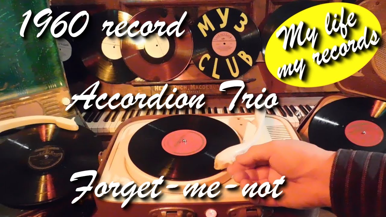 1960 record Accordion Trio Forget-me-not #RecordsKing_13861 #RecordsEra_13861 #ListenSU_13861