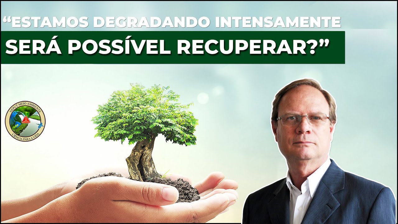 Redução de áreas úmidas no Brasil
