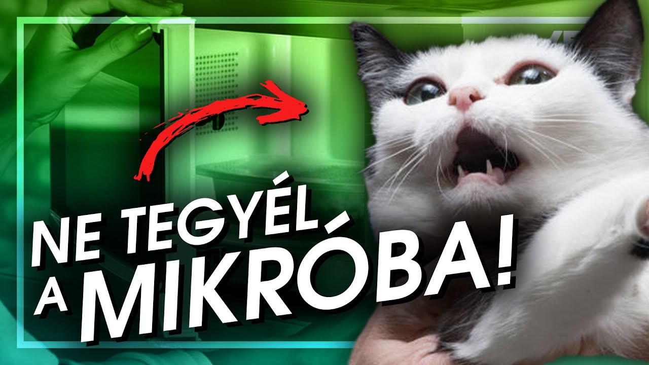 Mi történik a MACSKÁVAL a MIKRÓBAN? | Netlegendák #15