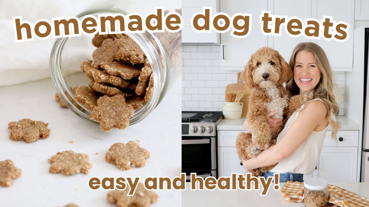 Easy Homemade Dog Treats Recipe | Healthy Dog Cookies