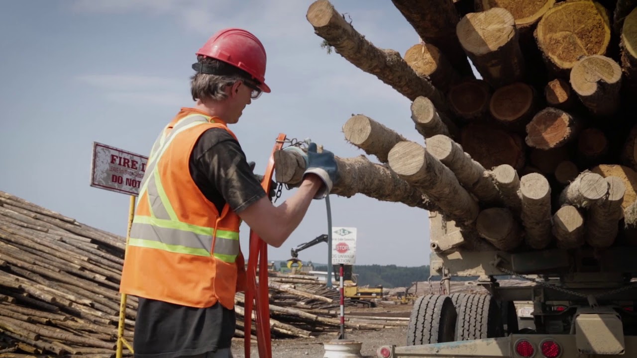 Dashboard cameras in forestry haul operations to improve safety