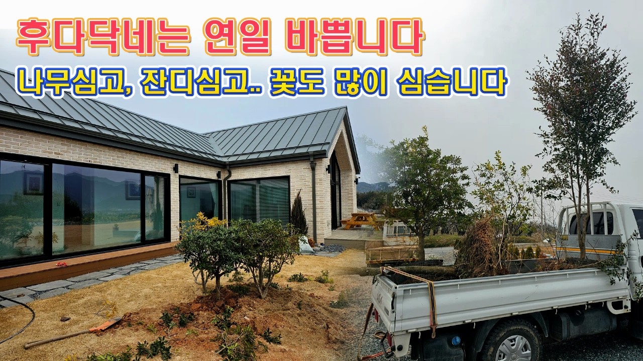 🔴 정원 예쁘게 만들기, 어떤 나무, 어떤 꽃을 심어야 집이 예쁠까 🤔🤔🤔