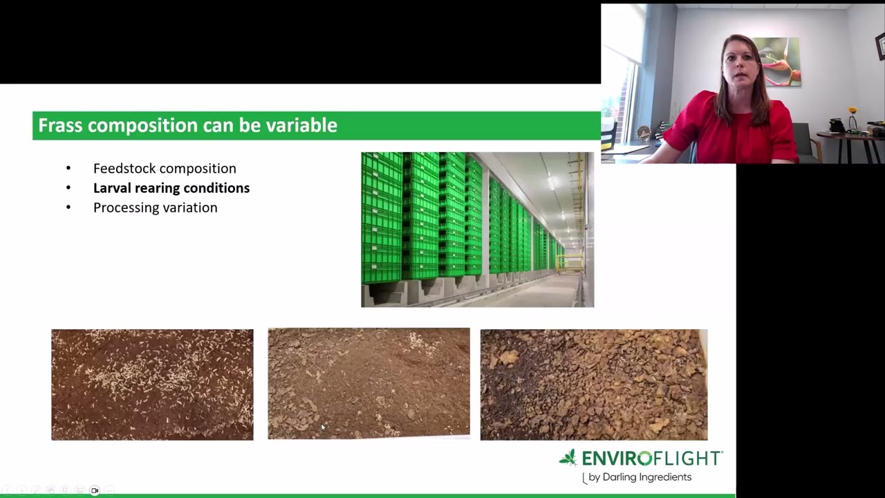 Commercial Scale Production of BSFL Frass