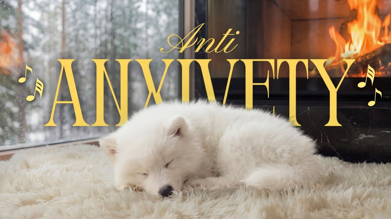 Leave Them Home Alone Without Worry: 12 Hours of Calming Music for Anxious Dogs 🐾