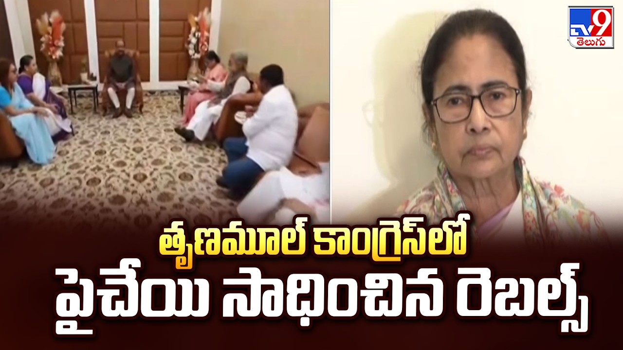 Mamata Banerjee : తృణమూల్ గుర్తు నాదే | Politics of West Bengal - TV9