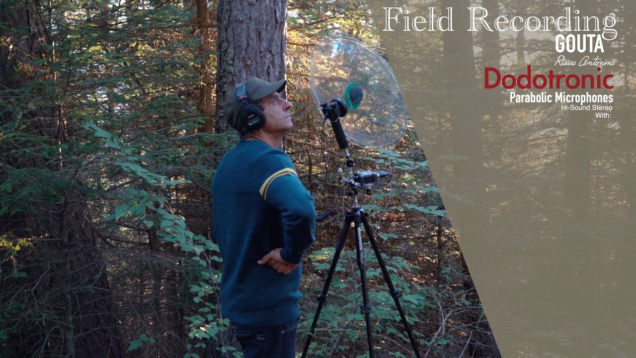 Nature Sounds field recording