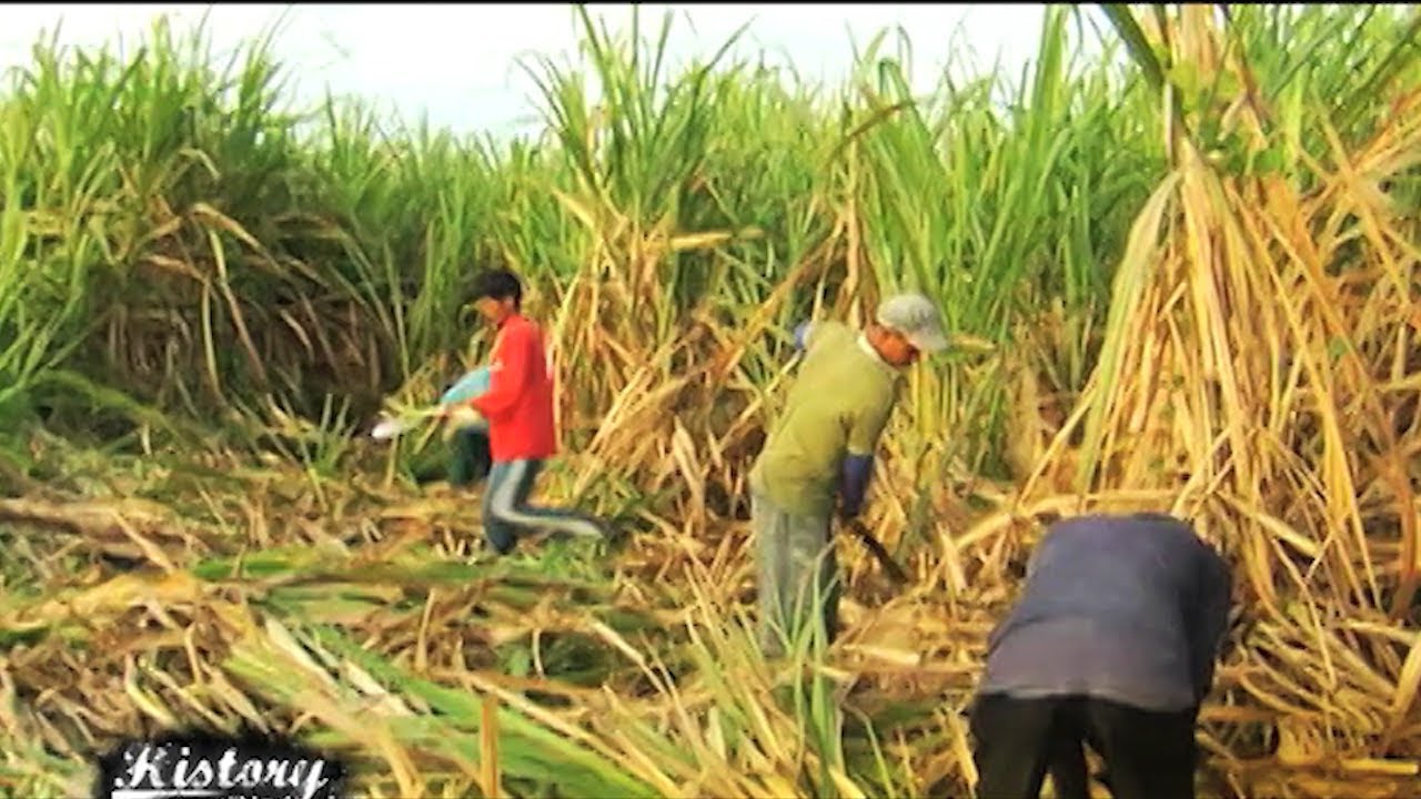 Bigas at Magsasaka | History With Lourd