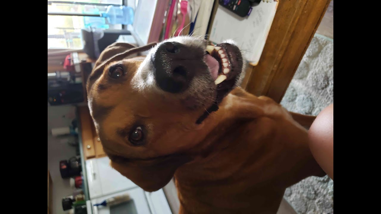 Live Sunday morning together