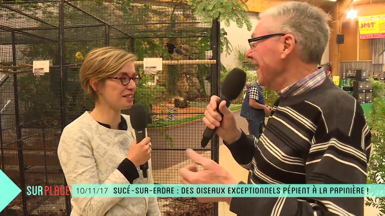 Sur Place au Concours Régional d'Oiseaux à Sucé-sur-Erdre