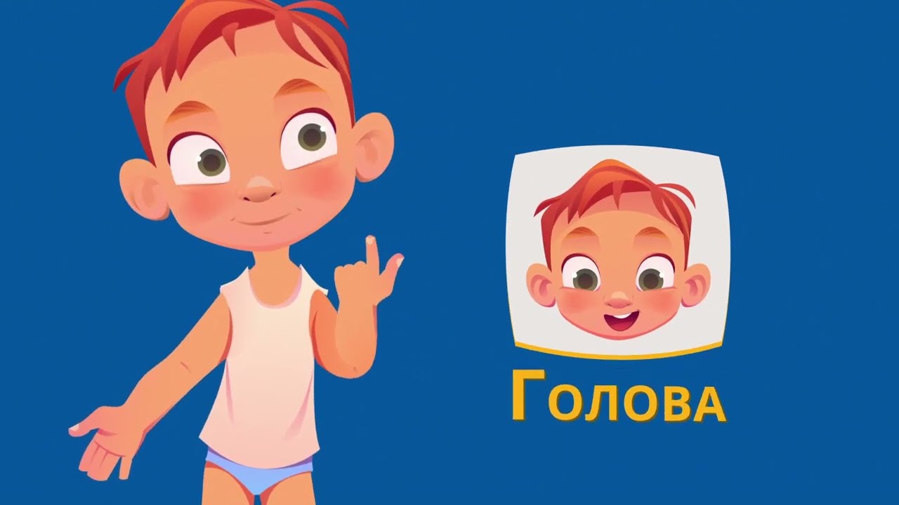 Учим части тела | Базовый словарный запас | Дошкольная биология | Тело человека