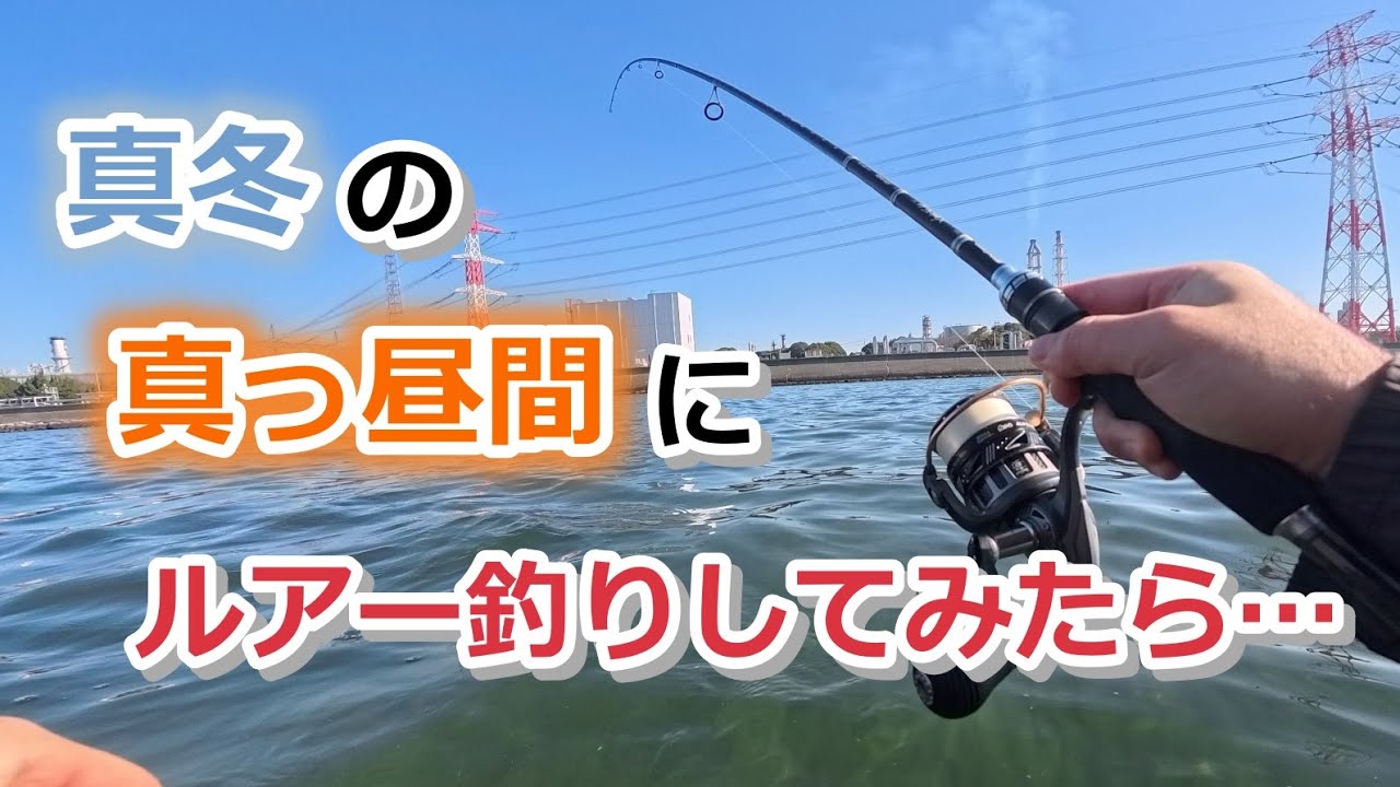 真冬の真っ昼間に河口でルアー釣りしてみたら…【2026年1月17日】