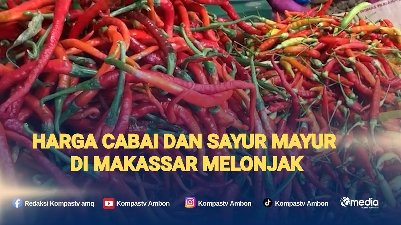 Harga Cabai dan Sayur Mayur di Makassar Melonjak