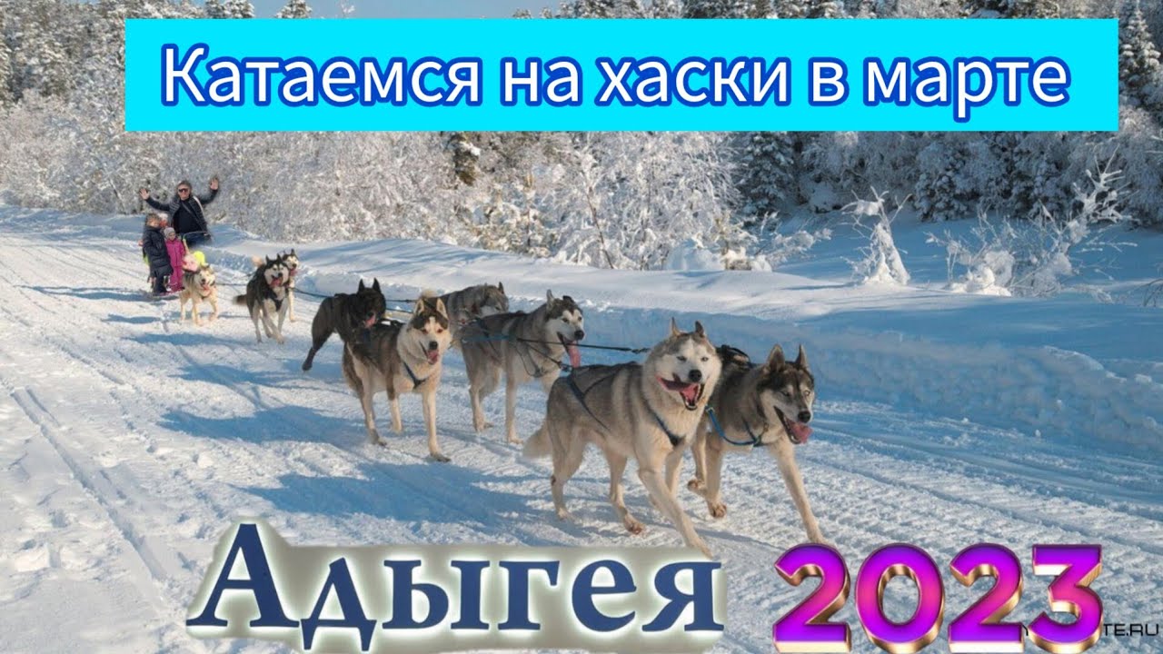 Адыгея 2023 катаемся на хаски в марте