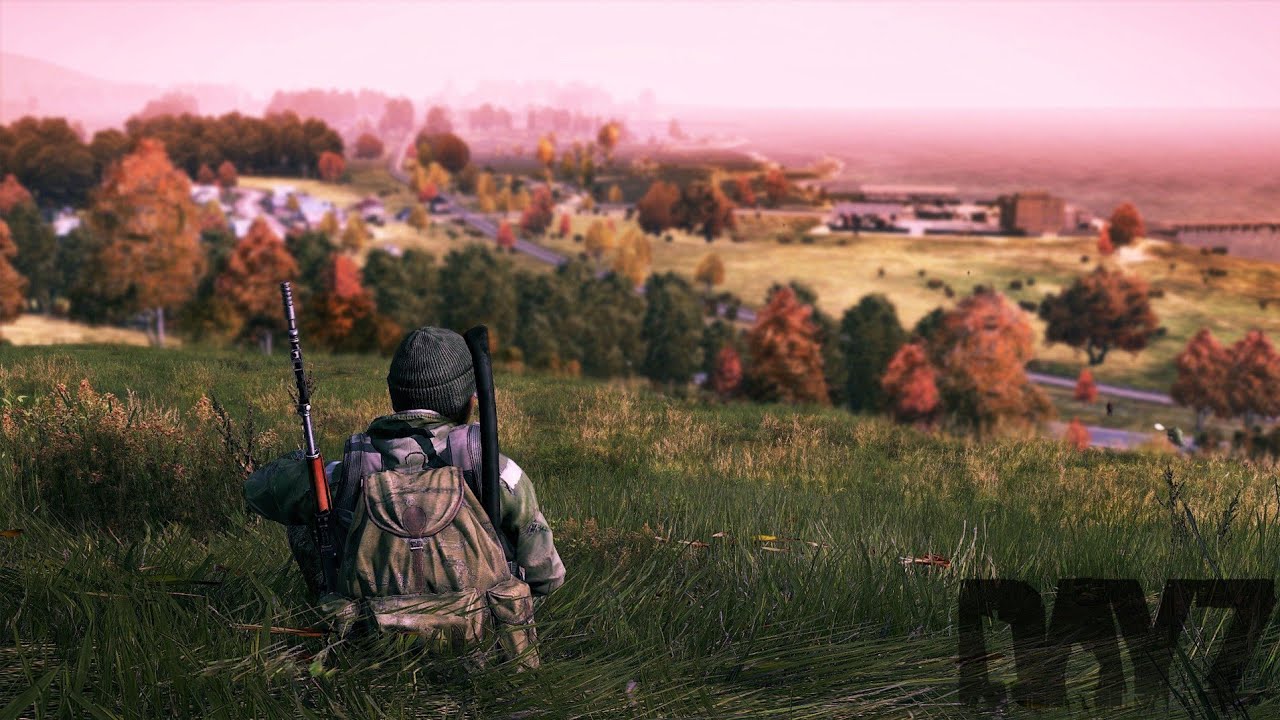 Things You Might Not Know About Minidayz | Minidayz+ #zombiesurvival  #dayz #minidayz