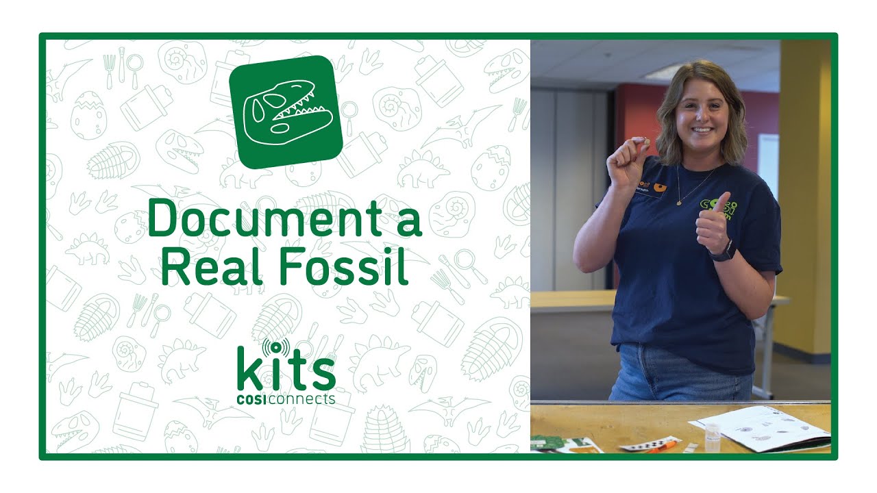 COSI Connects Dinosaur Kit - Activity Videos - Document a Real Fossil