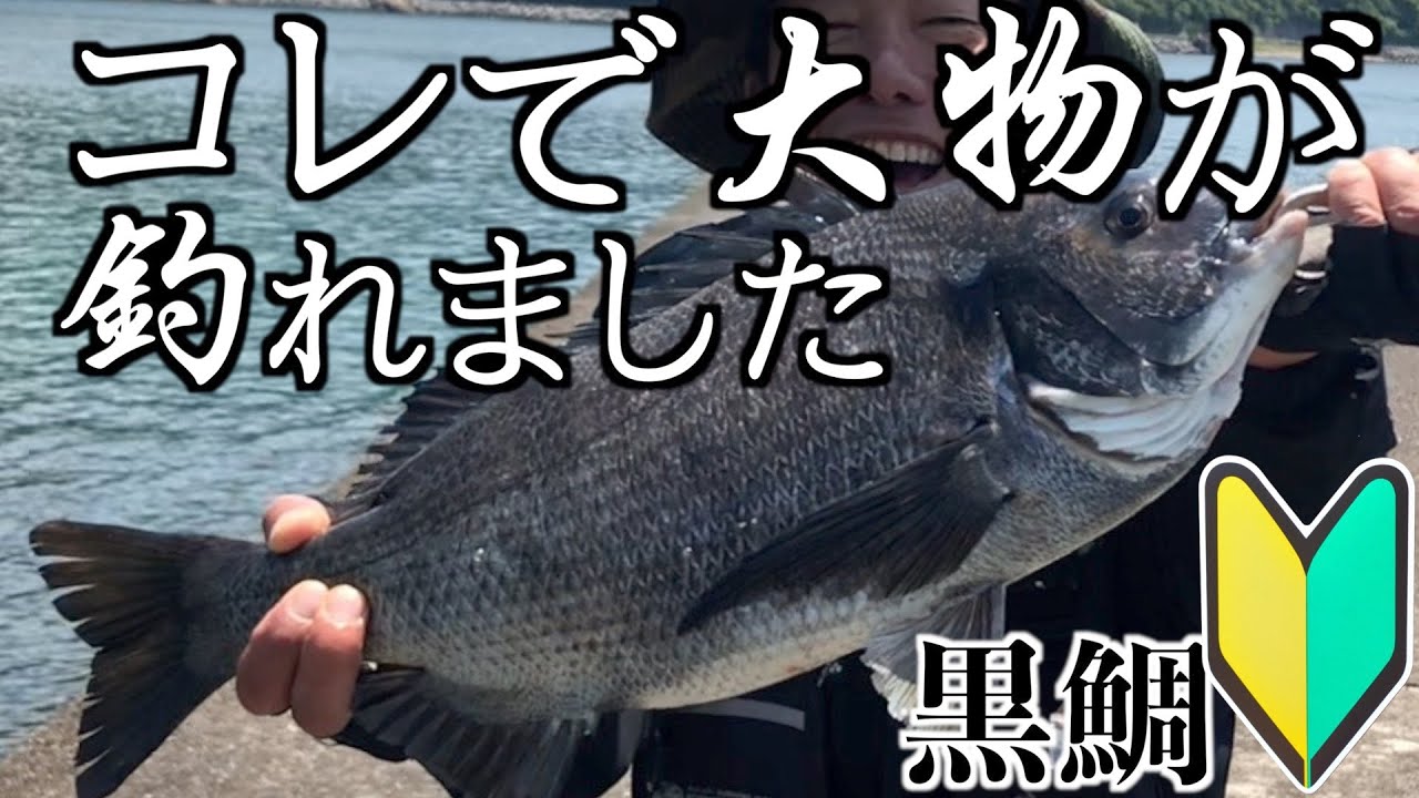 チヌ釣りが簡単になる仕掛けも紹介(大物編)【初心者必見！】