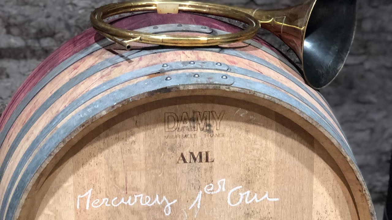 Domaine de Suremain à Mercurey : quand la joie participe au goût du vin !