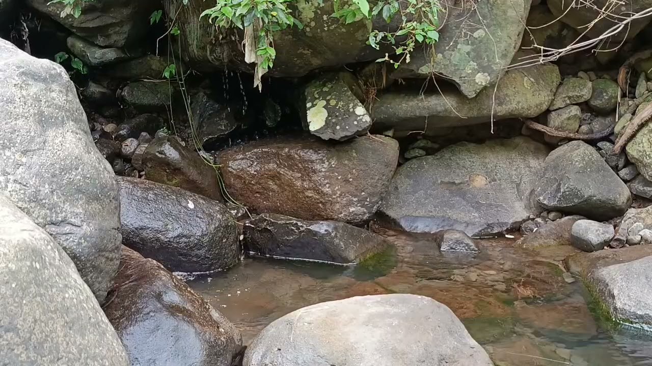 Inside A Quiet Mountain River Valley | Pure Nature Sounscape
