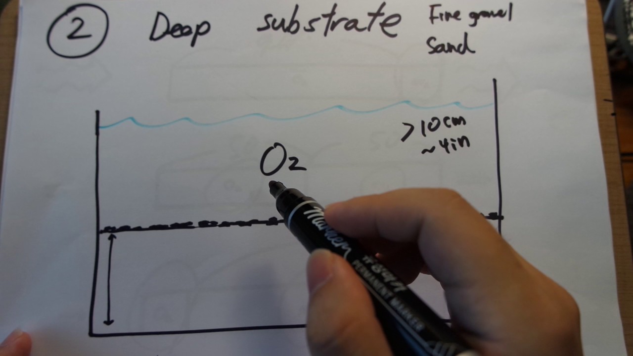 How to build a no water change tank part3: ways to make anoxic zones for denitrification