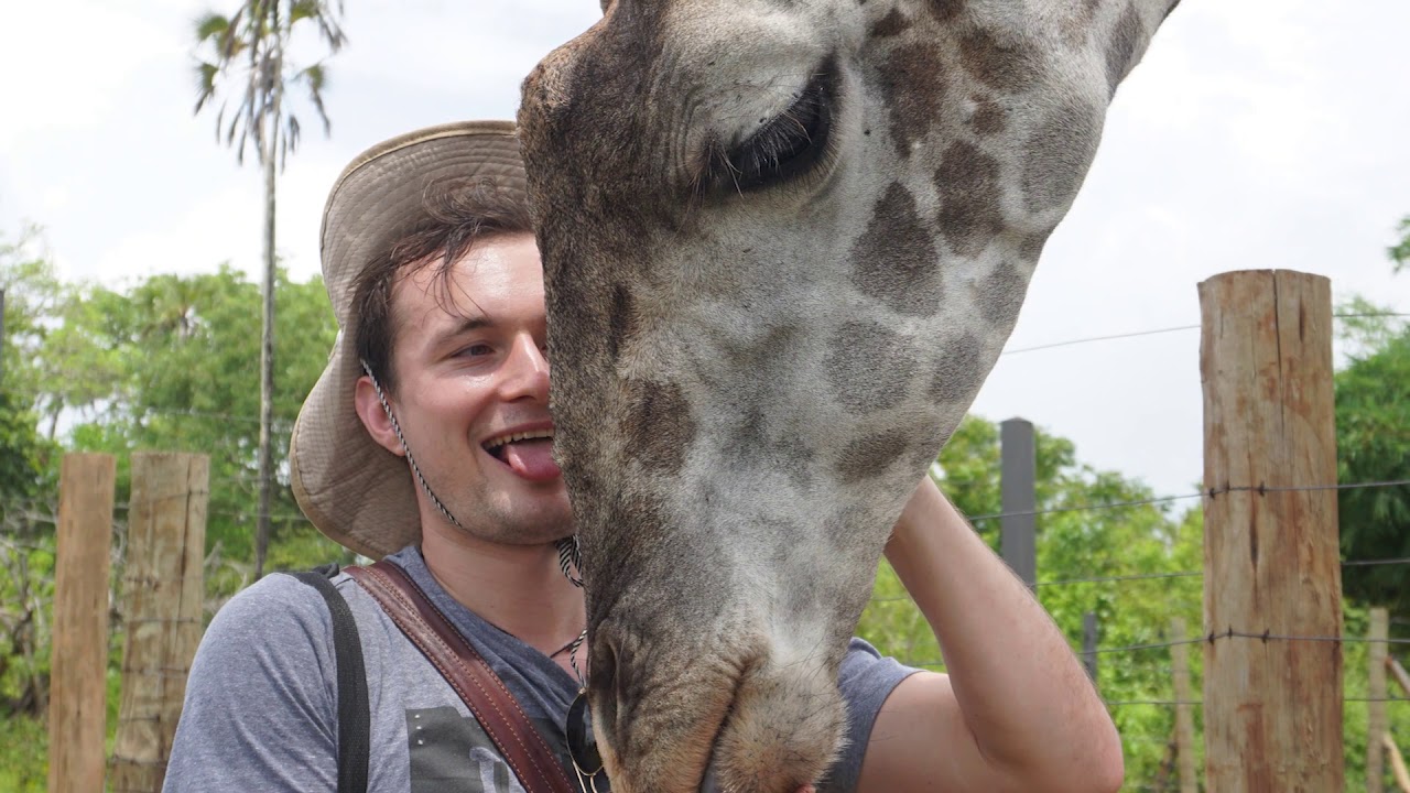 Поигрались в Bora Bora Wildlife Park Diani Kenya